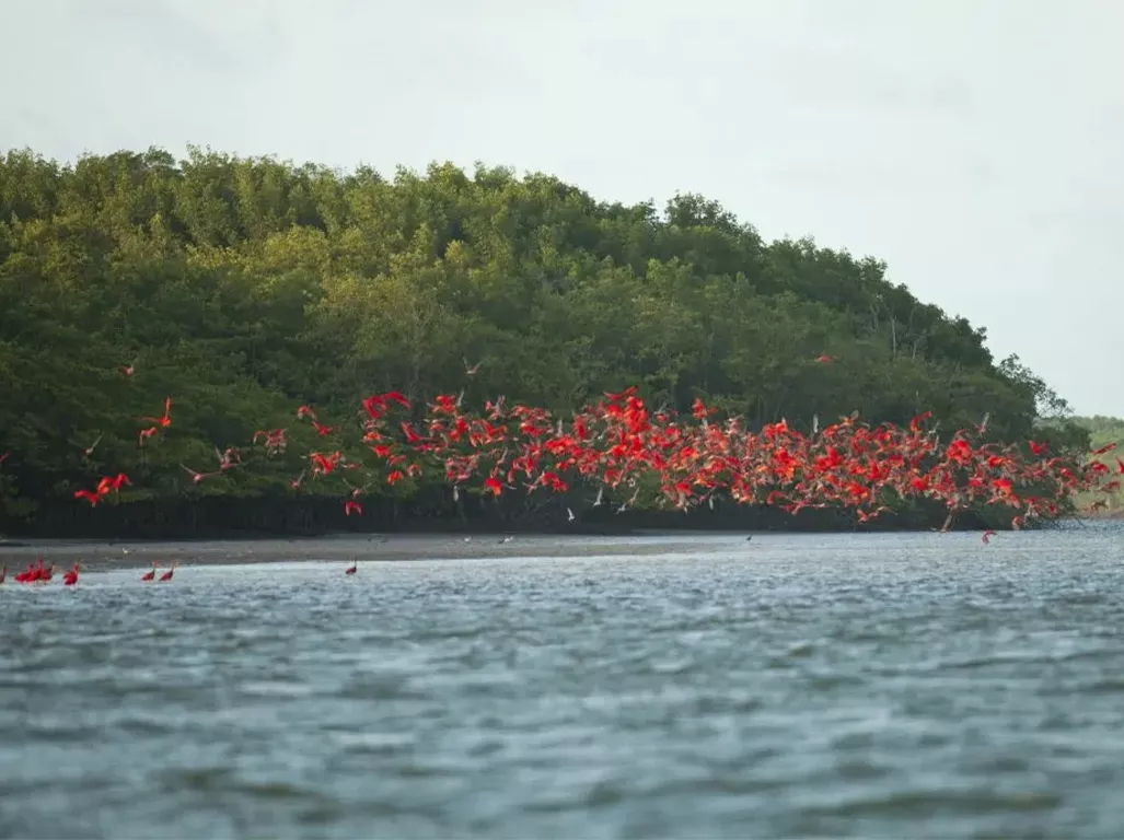 slide-somar-rota-0002-revoada-dos-guaras-delta-do-parnaiba-1024x689-6953ed22b7c91